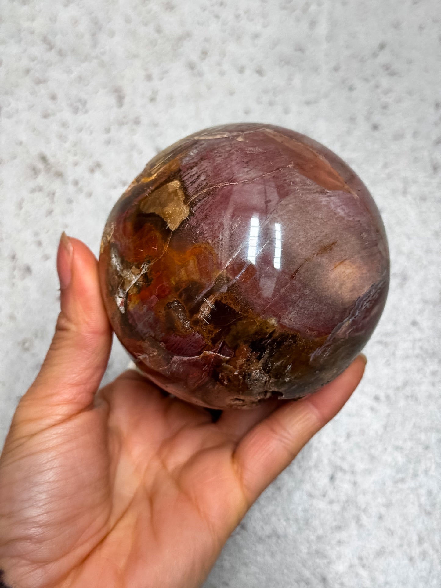 Petrified Wood Sphere
