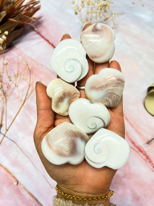Shiva Shell Hearts