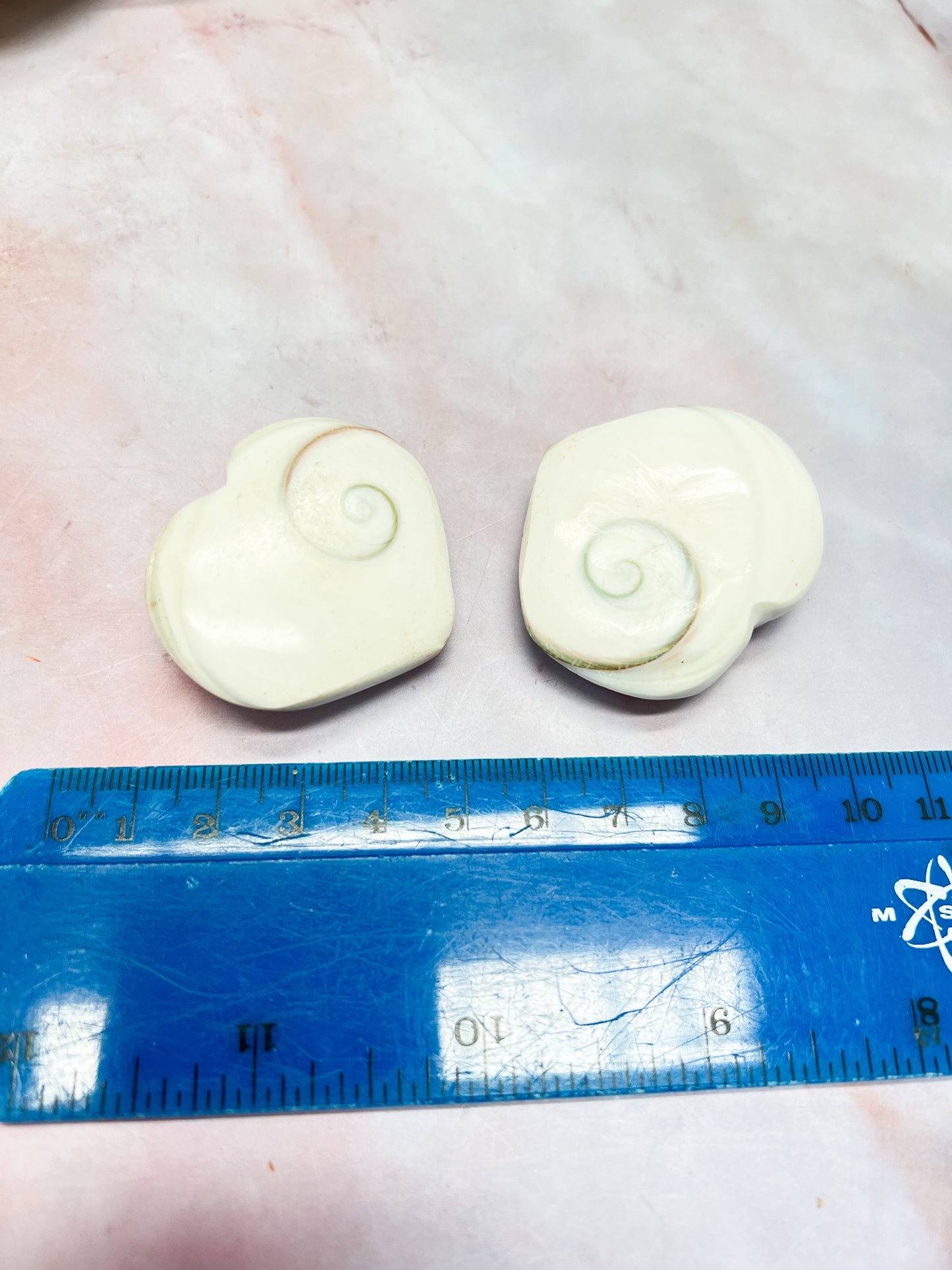 Shiva Shell Hearts