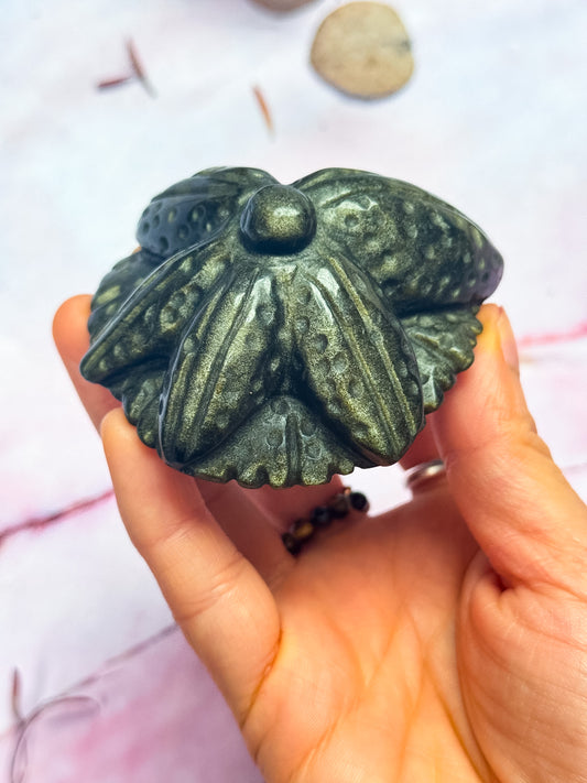Gold Sheen Obsidian Starfish