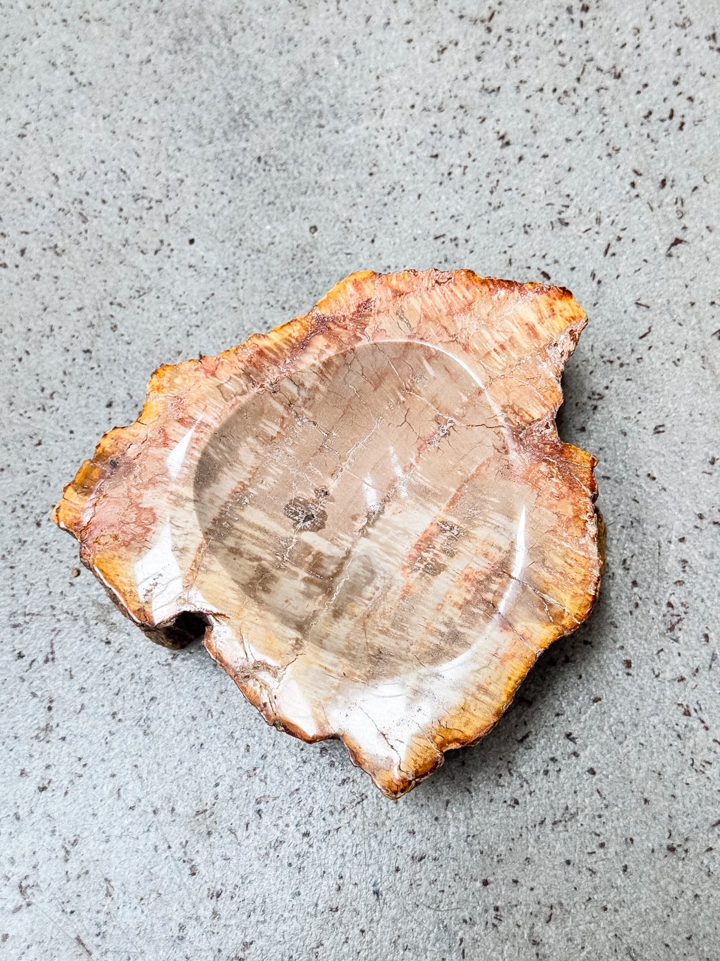 Petrified Wood Bowl