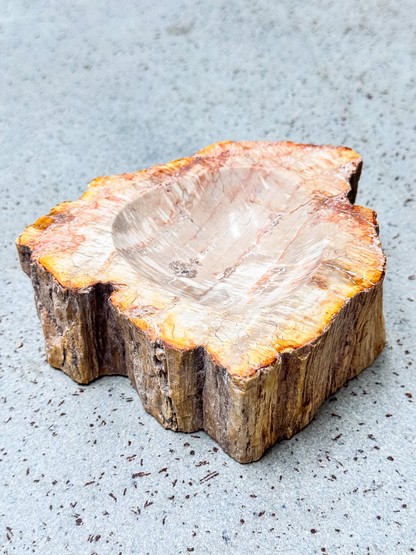 Petrified Wood Bowl