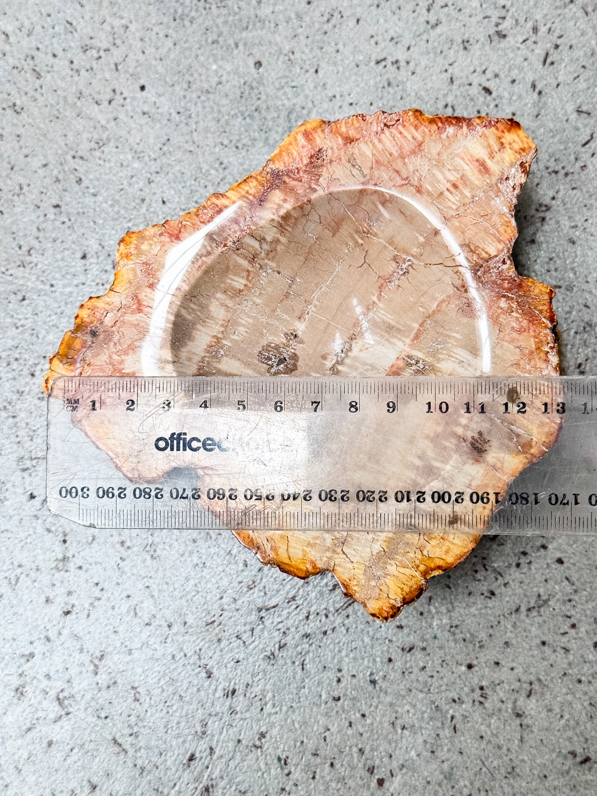 Petrified Wood Bowl