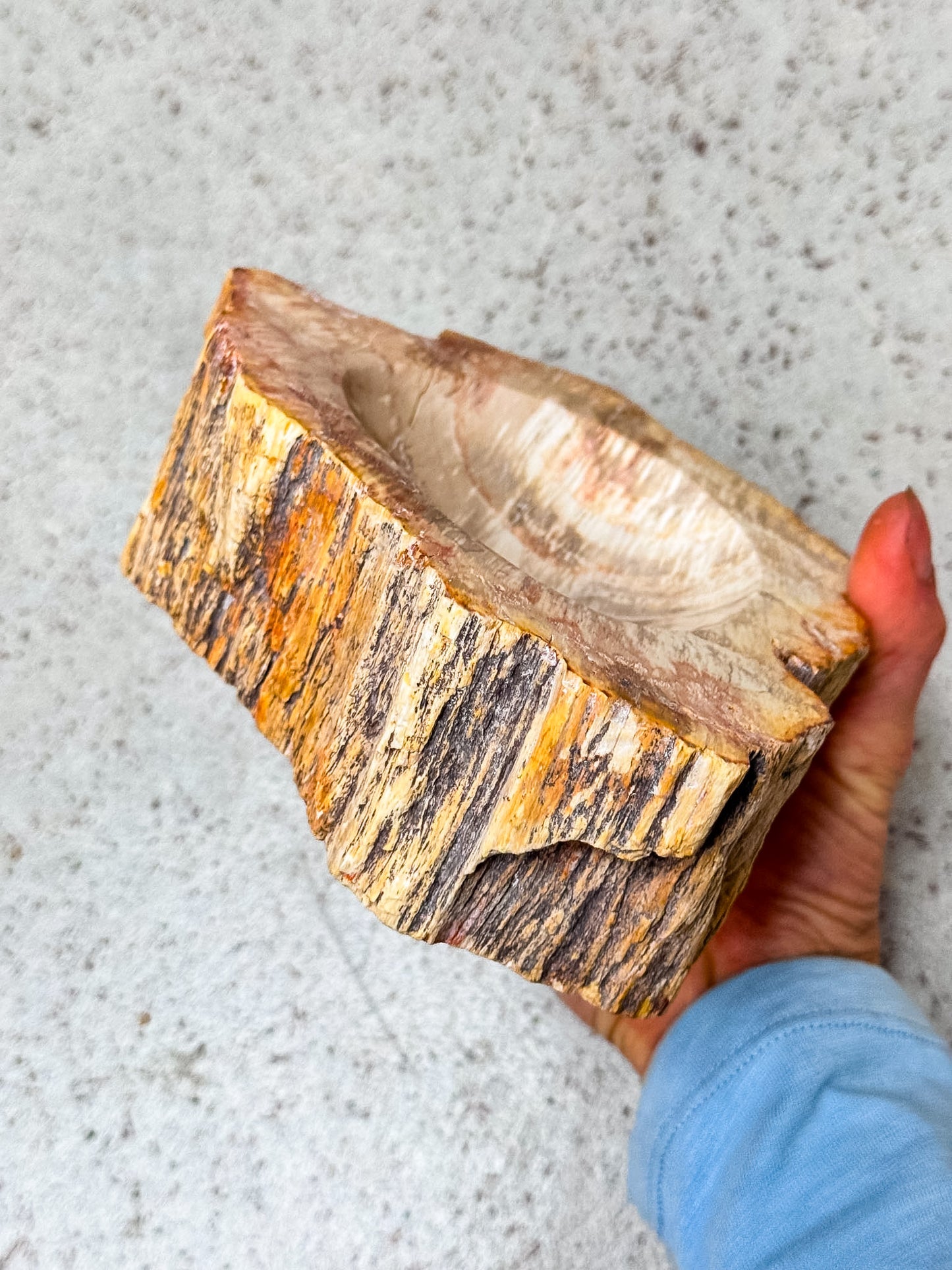 Petrified Wood Bowl