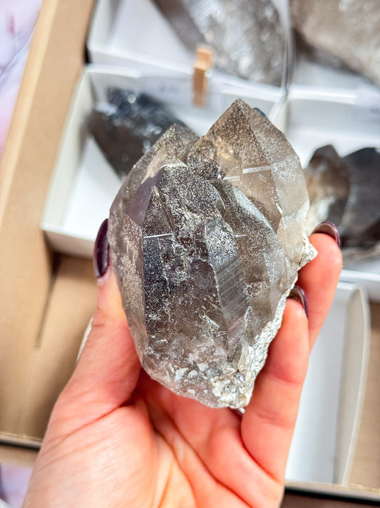 Malawi Smokey Quartz Clusters