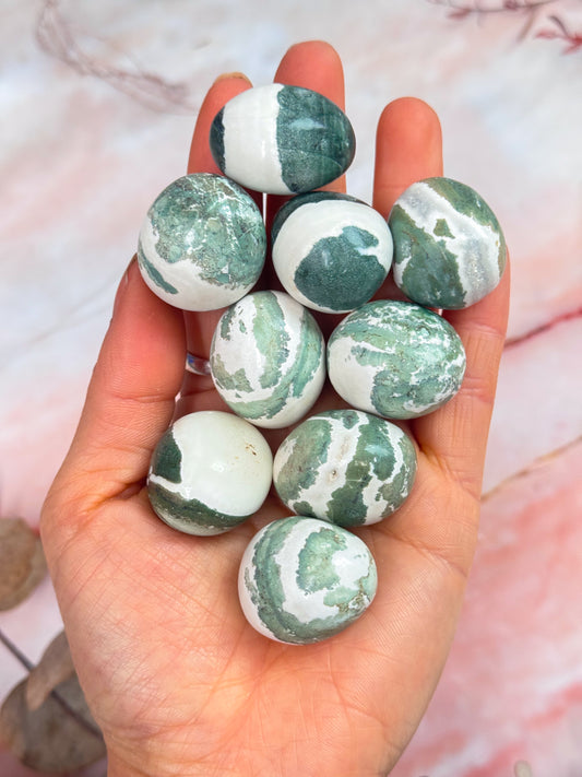 Green Sardonyx Tumbles