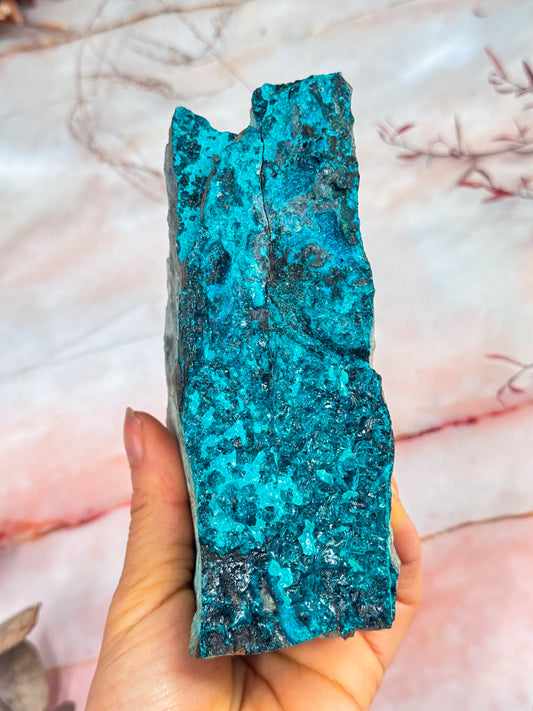 Gem Silica Chrysocolla Specimen