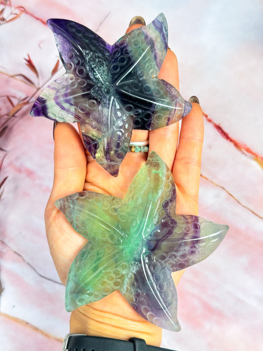 Fluorite Starfish Carvings