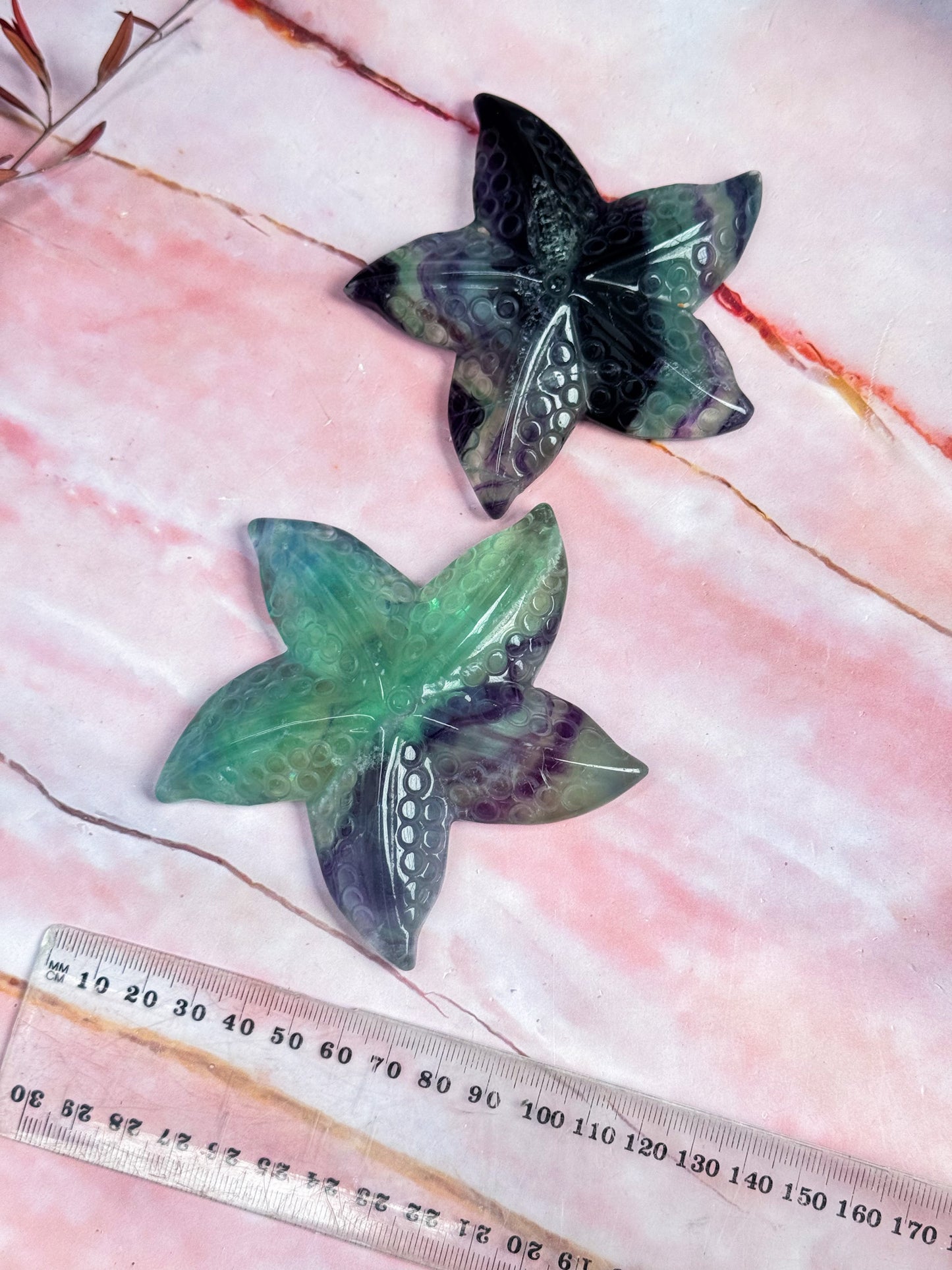 Fluorite Starfish Carvings