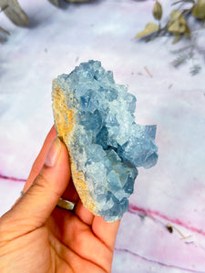 Celestite Cluster Specimen