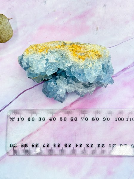 Celestite Cluster Specimen