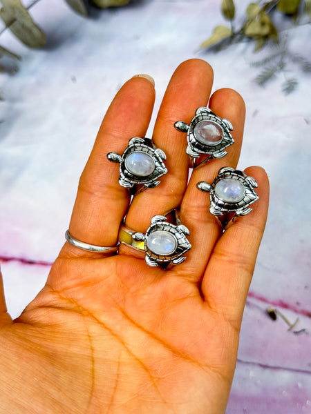 Moonstone Turtle Rings