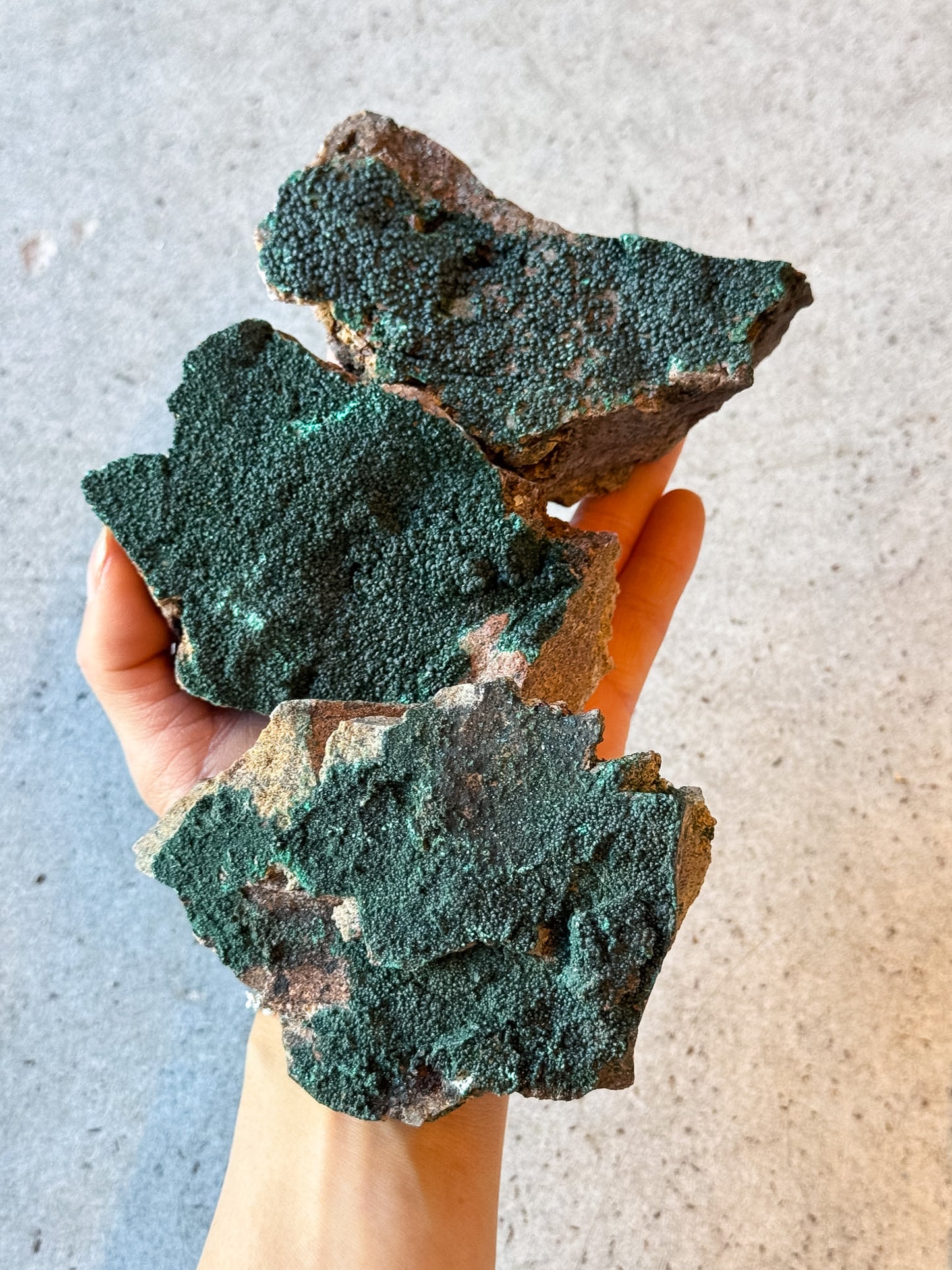 Bortroiydal Congo Malachite Specimens
