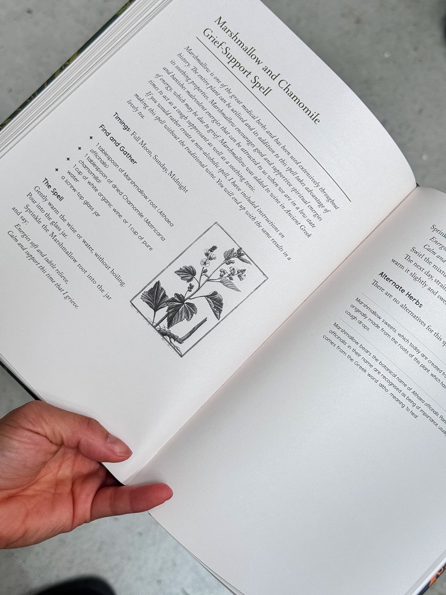 Earth Magick Book