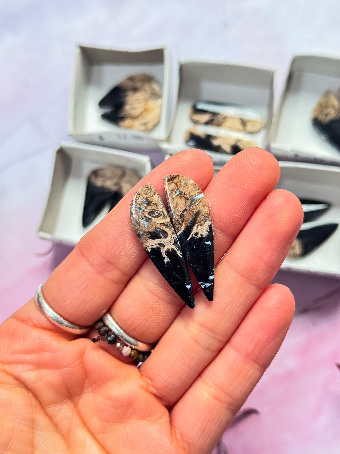 Petrified Palm Root Cab Sets