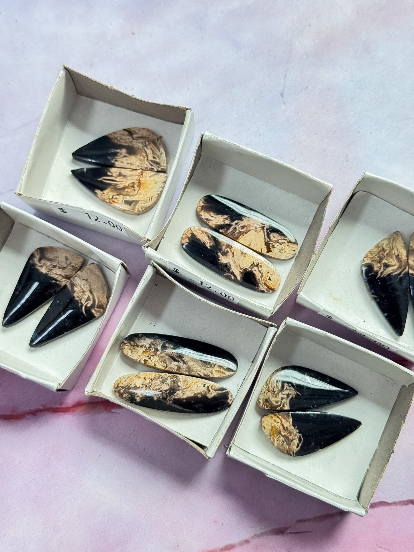 Petrified Palm Root Cab Sets