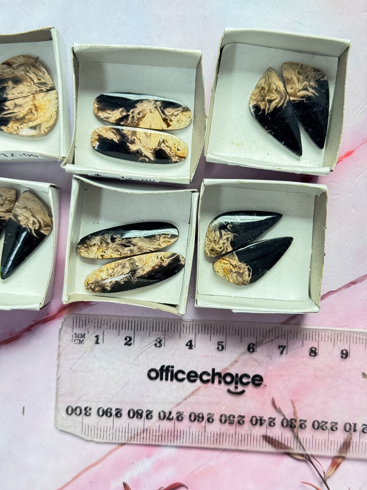 Petrified Palm Root Cab Sets