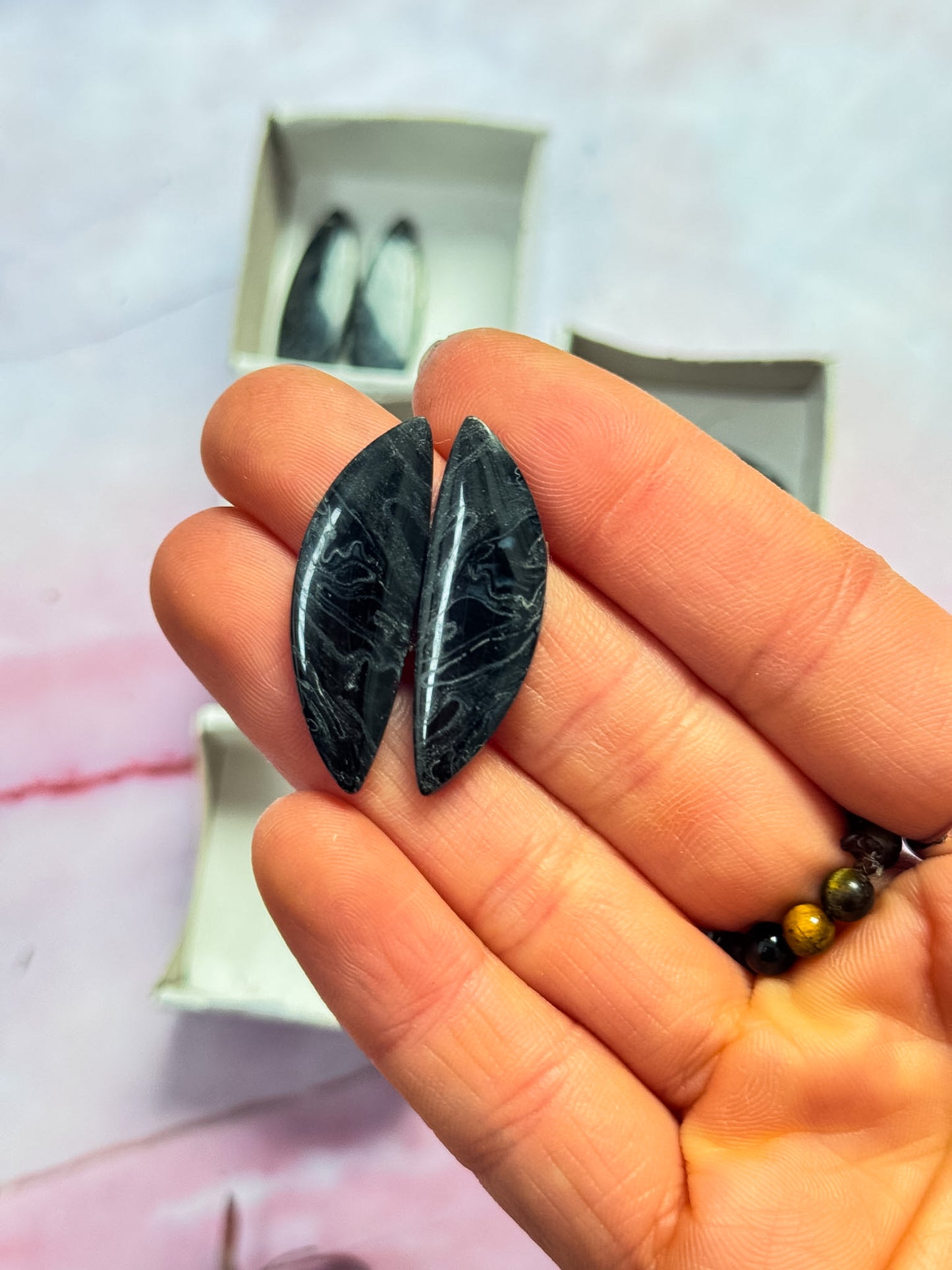 Black Petrified Palm Root Cabs