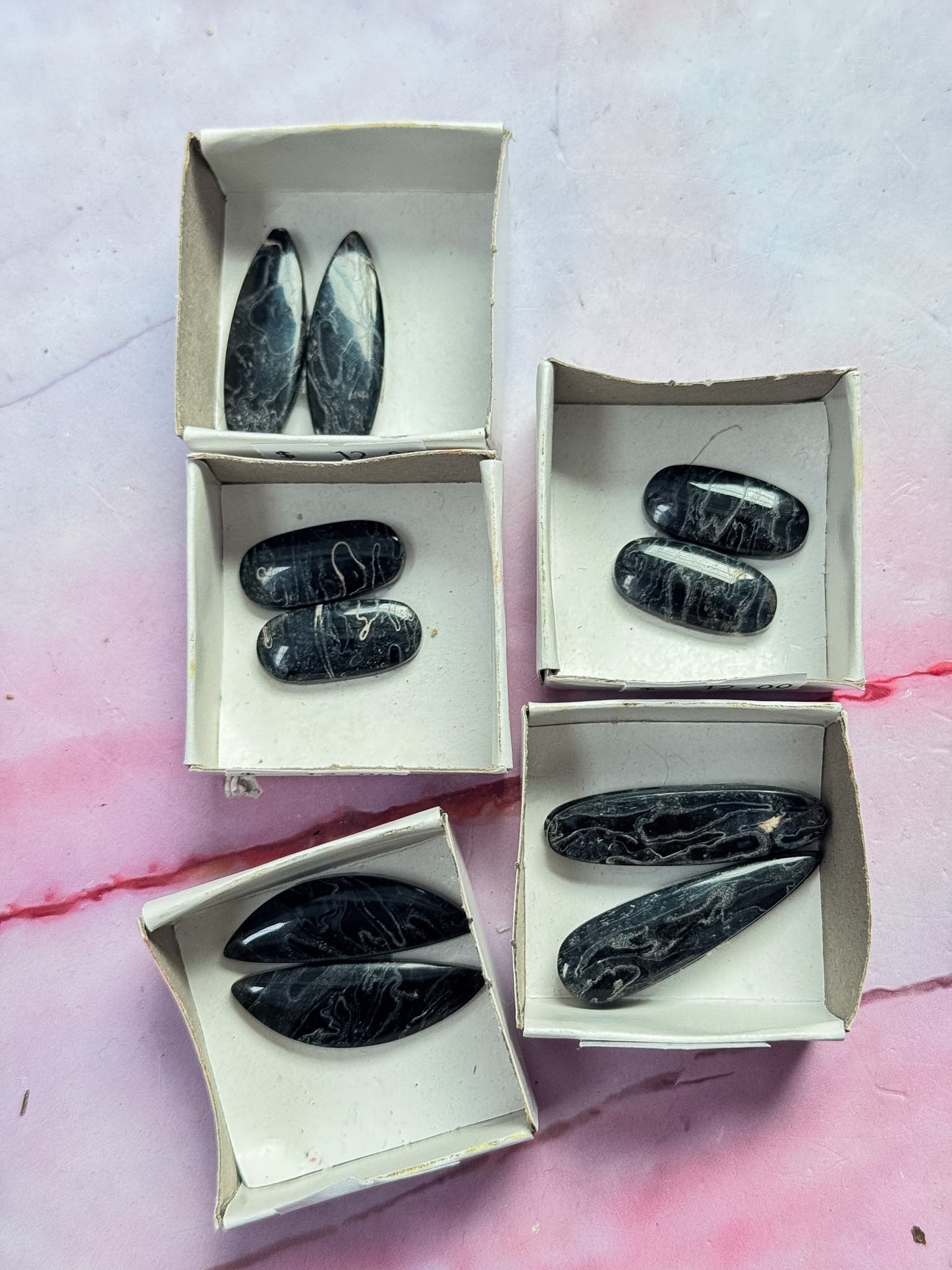 Black Petrified Palm Root Cabs