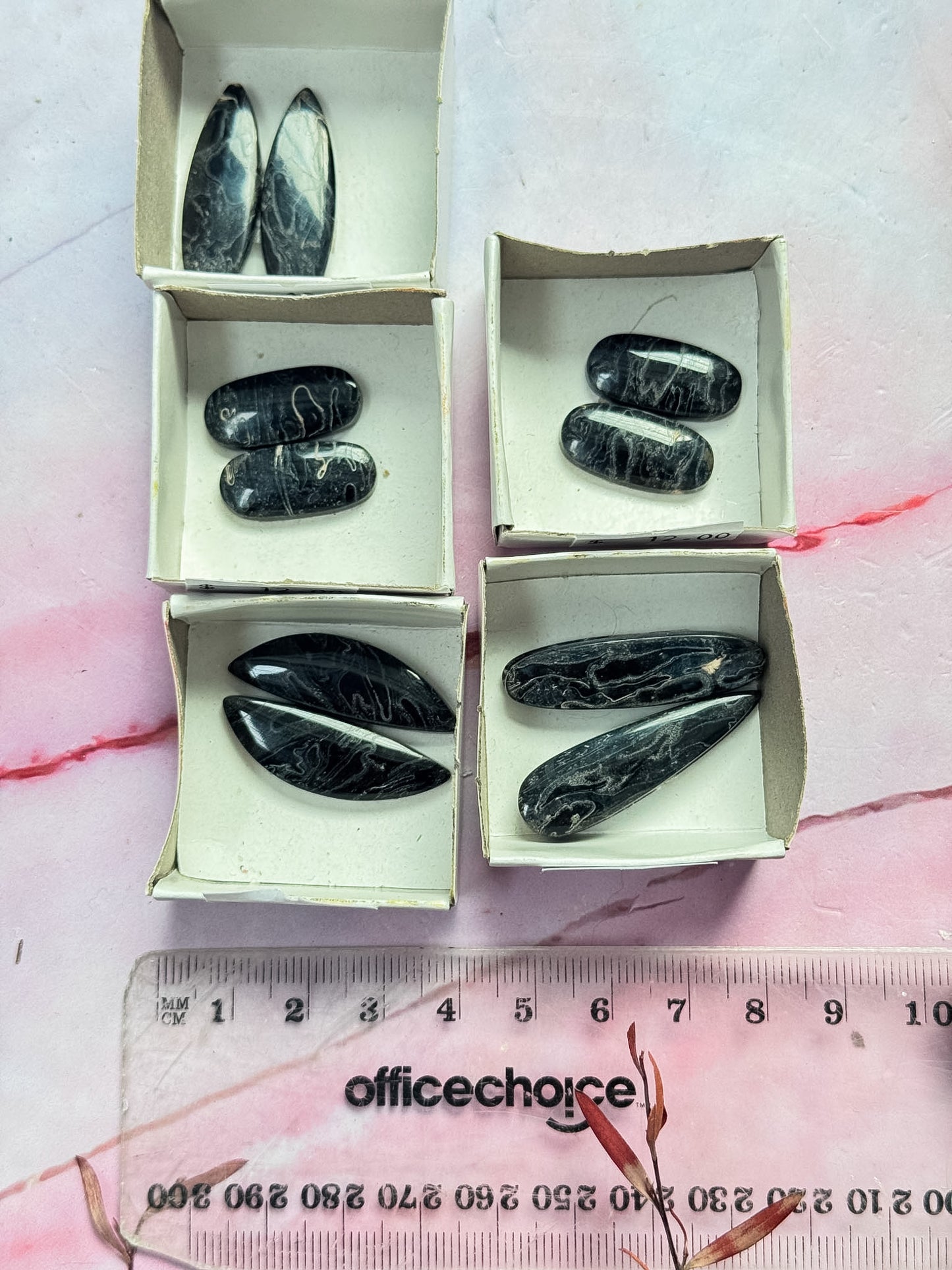 Black Petrified Palm Root Cabs