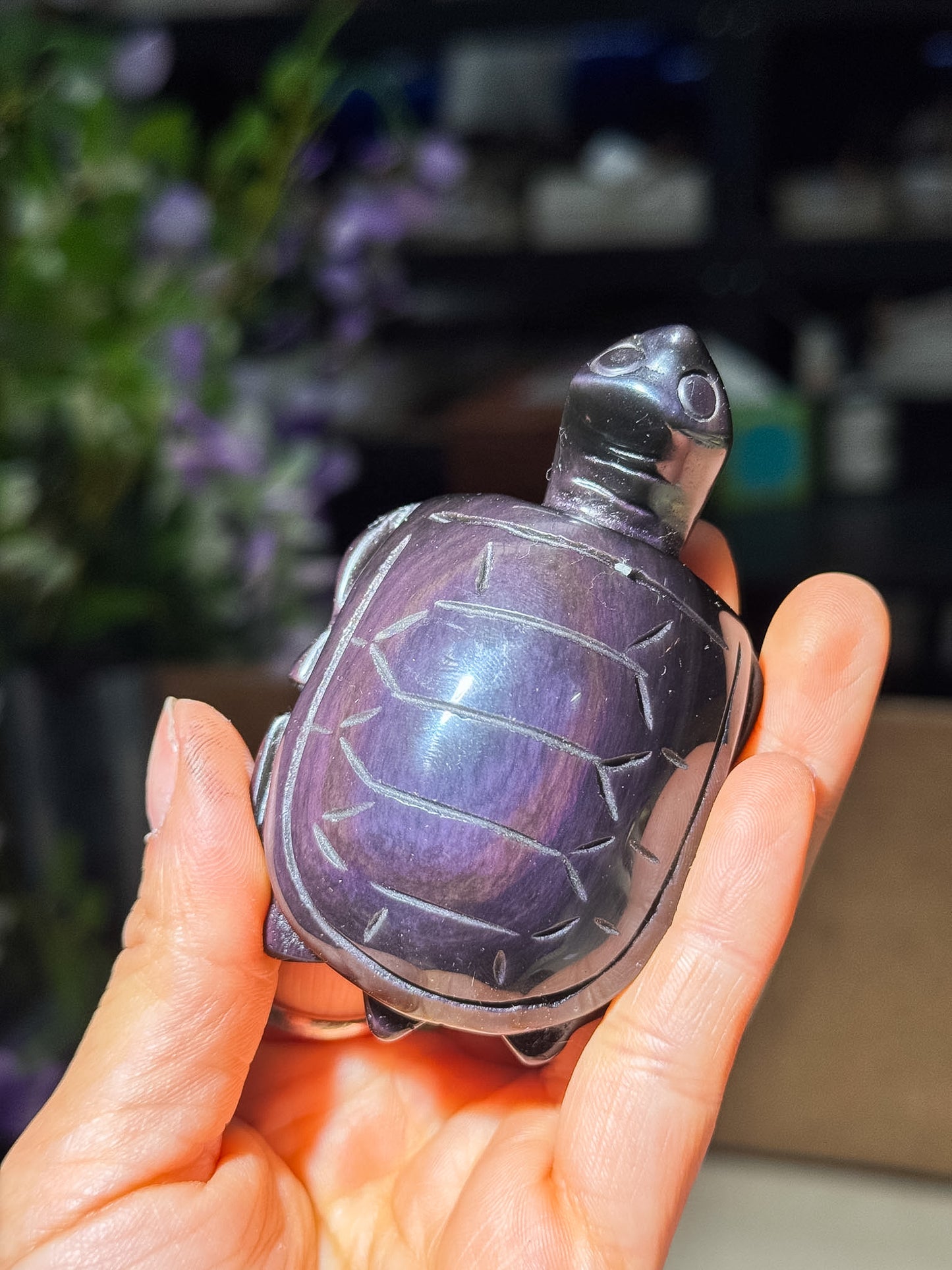 Rainbow Obsidian Turtles
