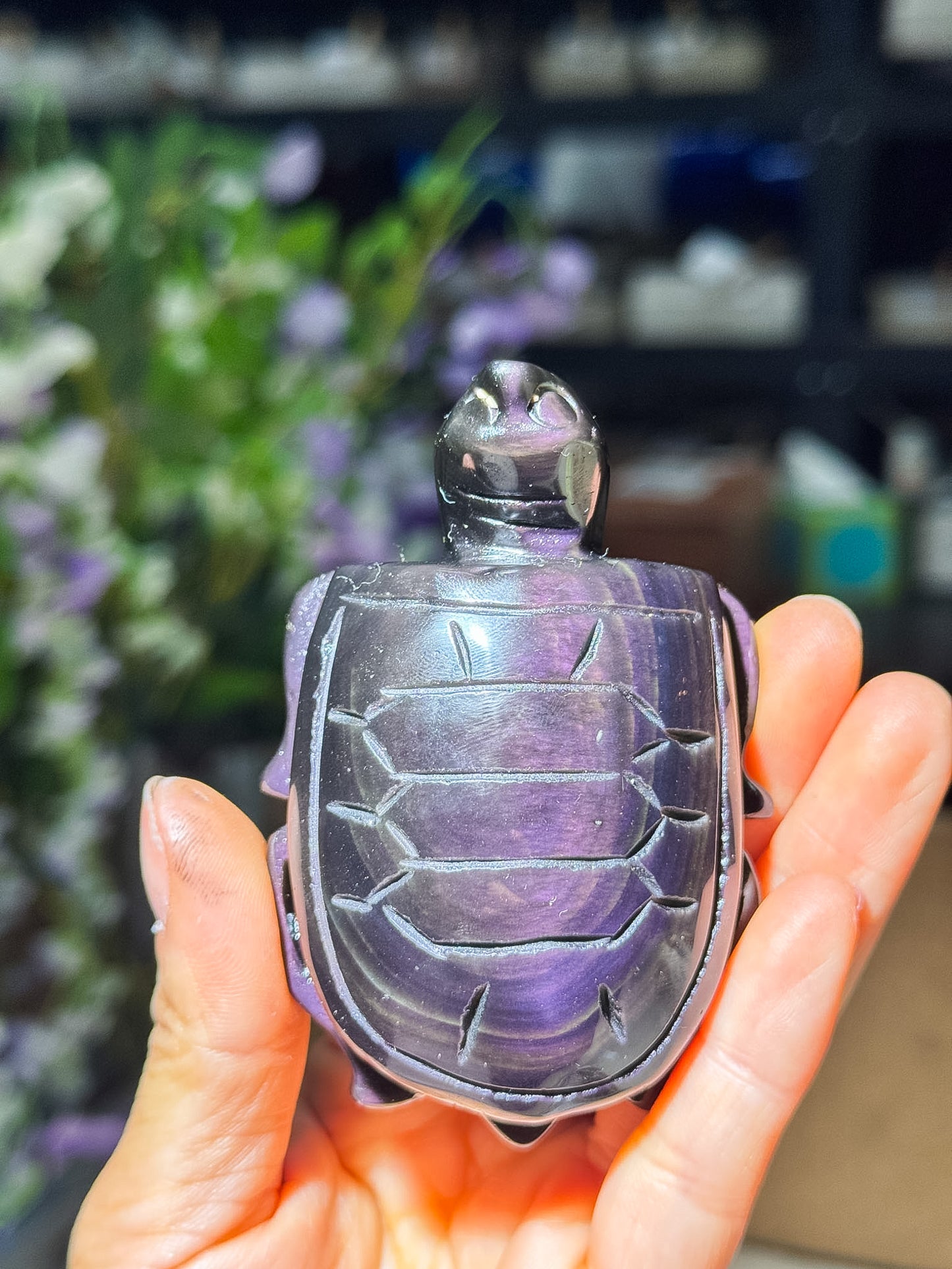 Rainbow Obsidian Turtles