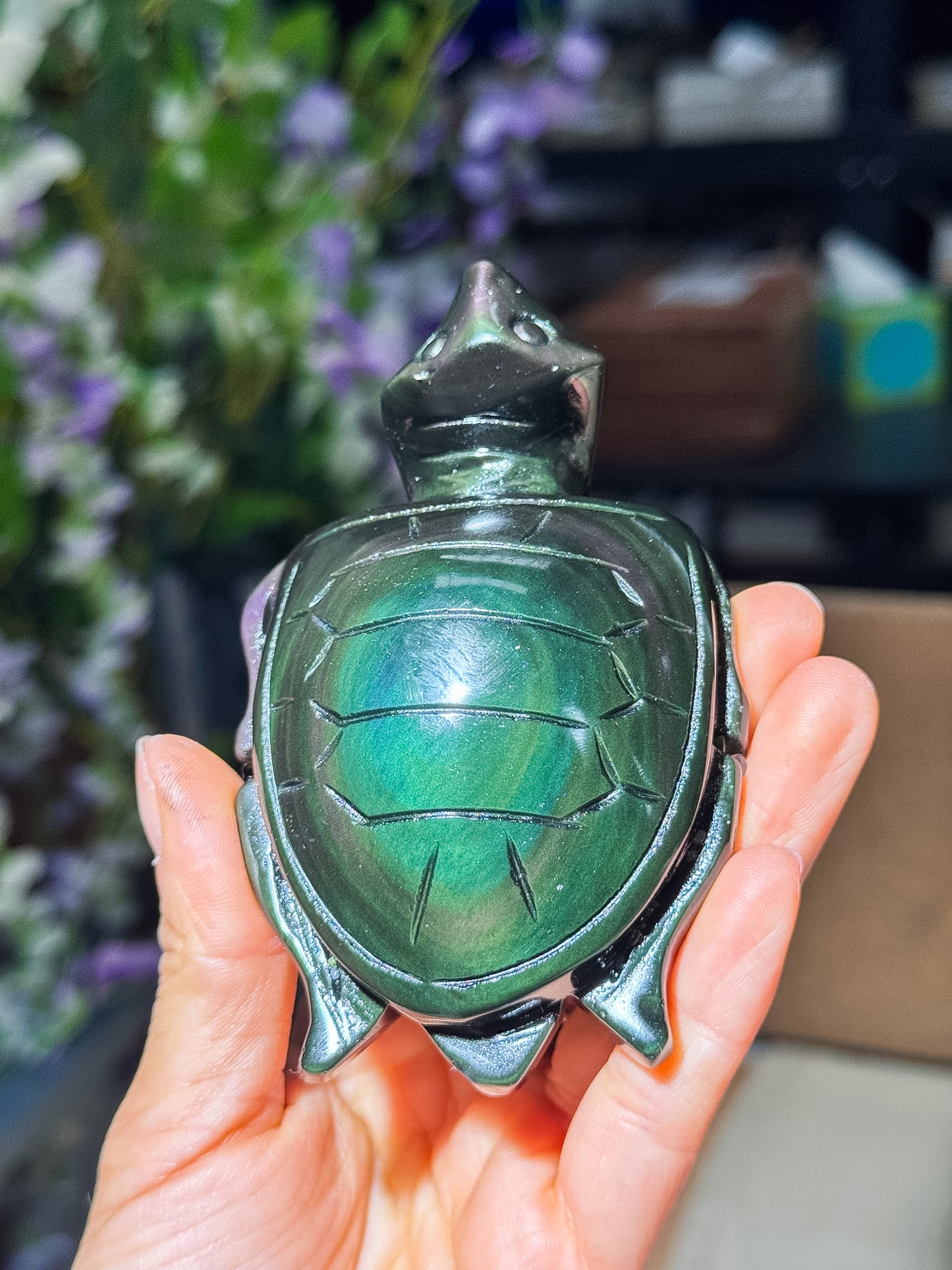 Rainbow Obsidian Turtles
