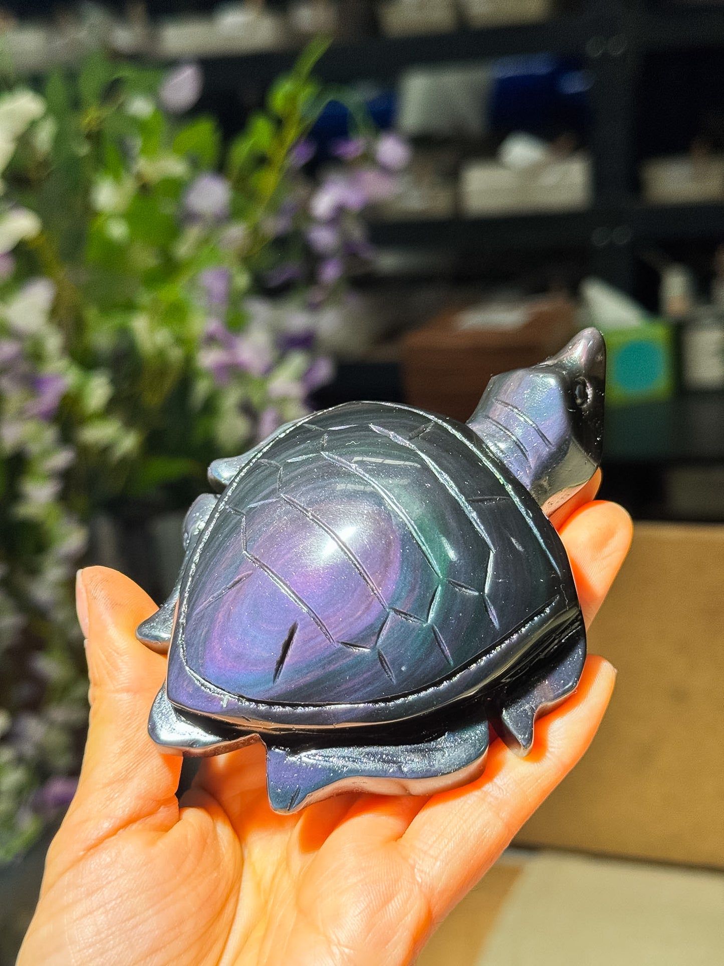Rainbow Obsidian Turtles