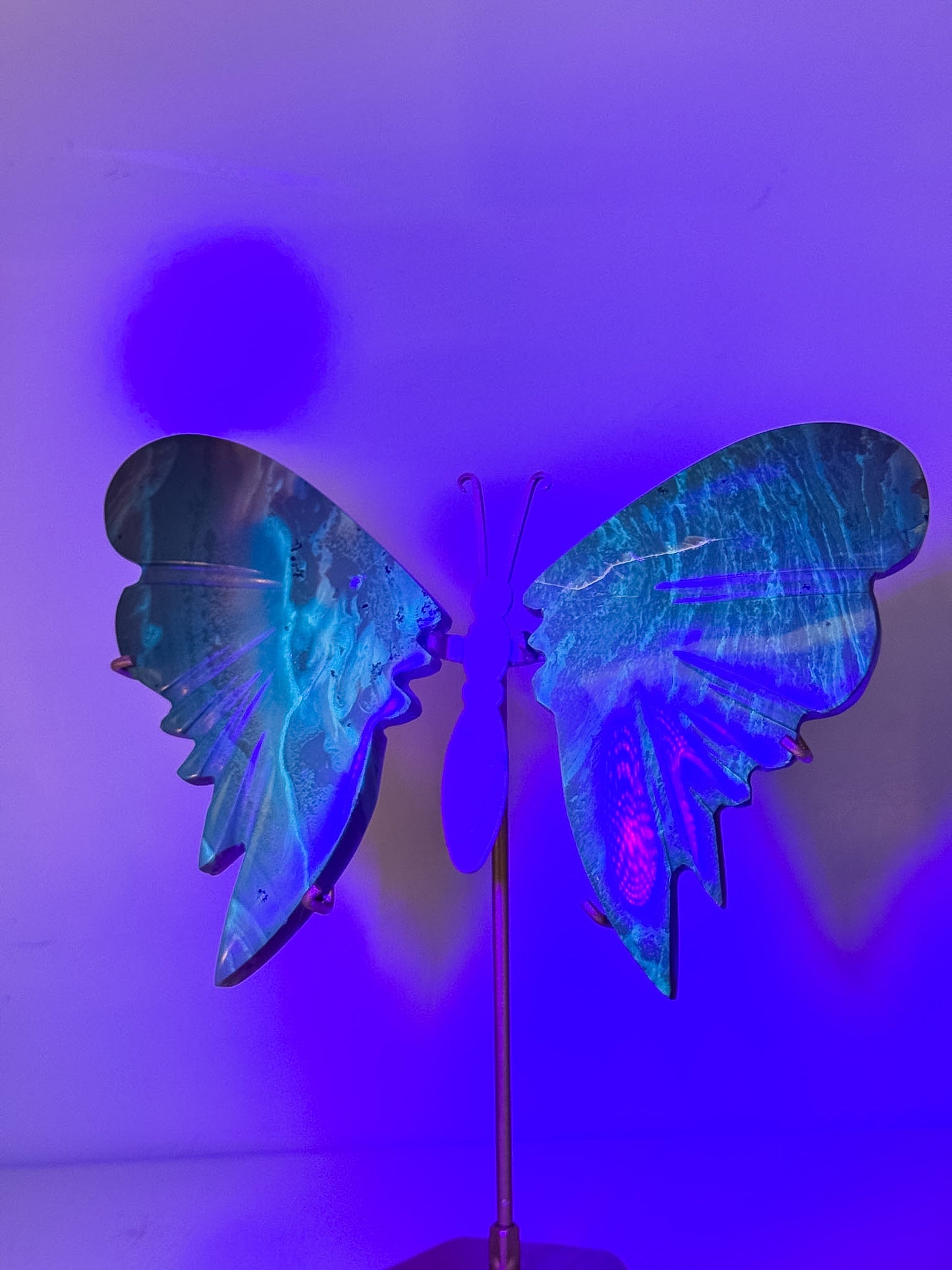 Blue Amber Wing Set - UV Reactive
