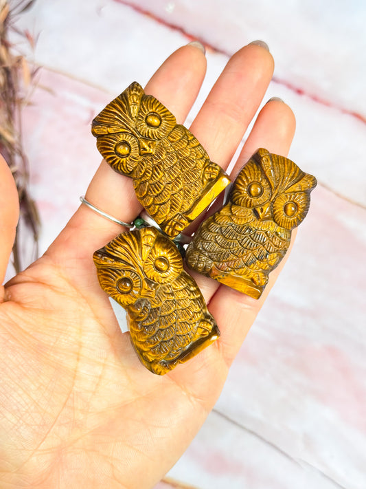Tiger Eye Owl Carvings