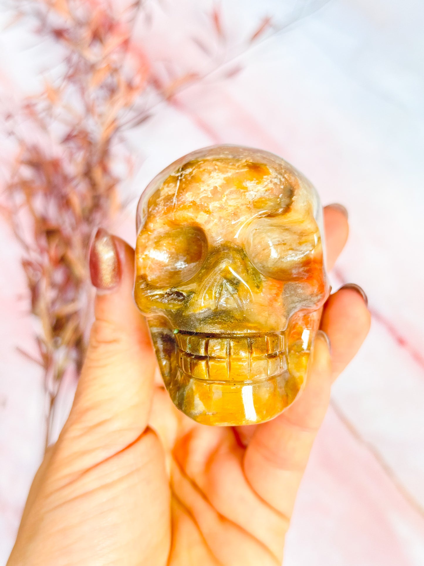 Petrified Wood Skull