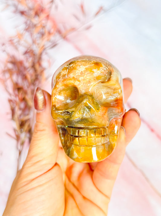 Petrified Wood Skull