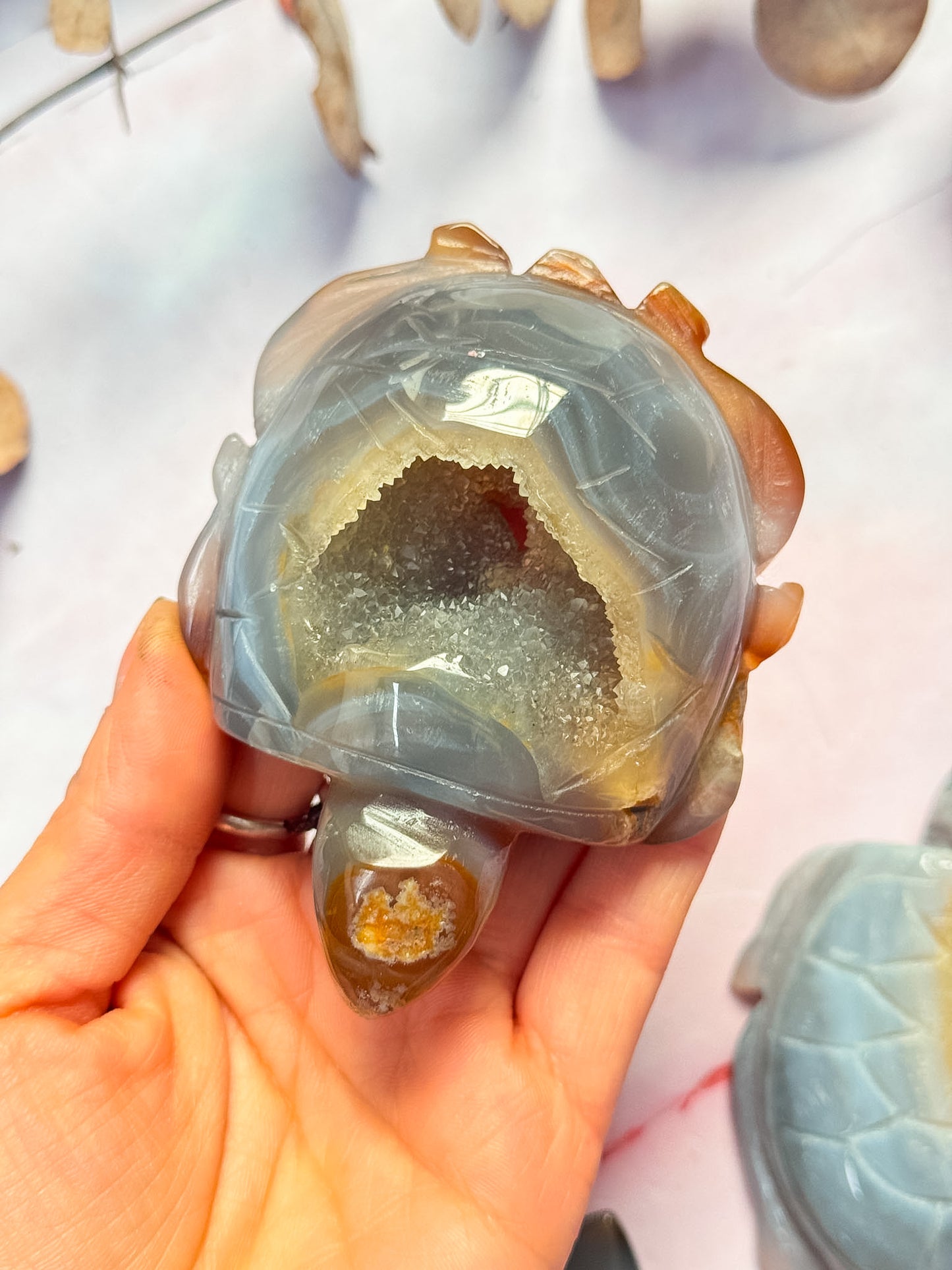 Druzy Agate Turtles