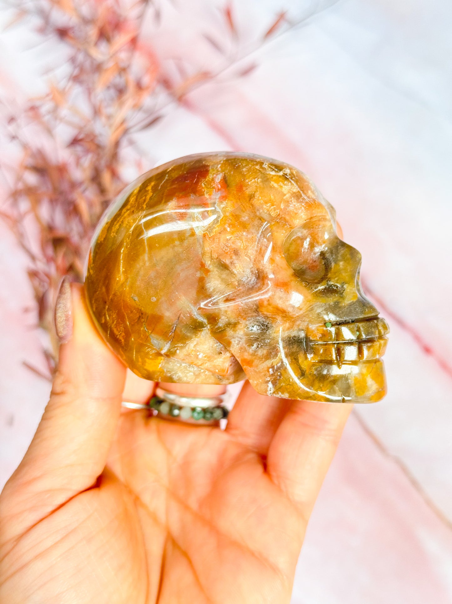 Petrified Wood Skull