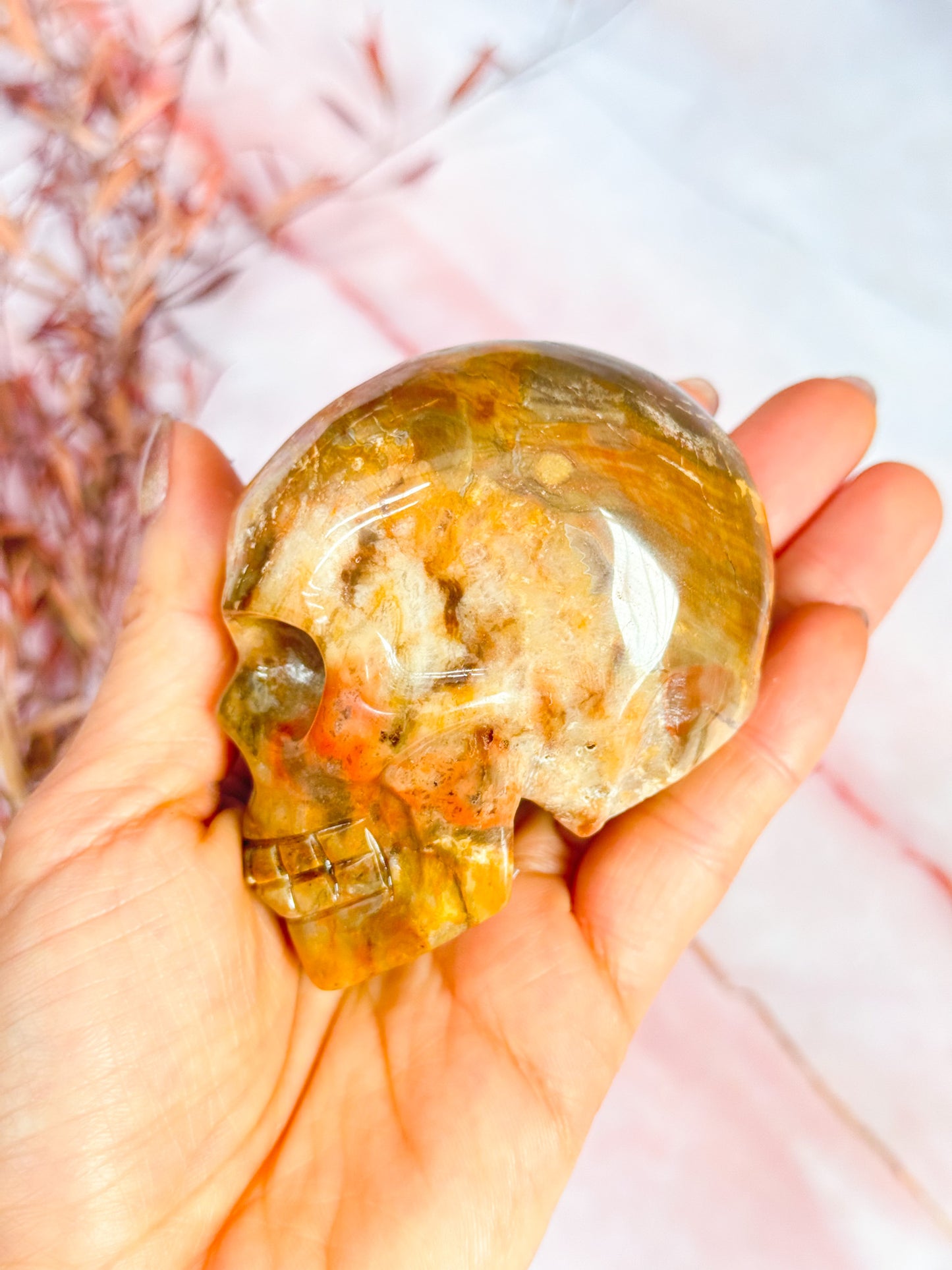 Petrified Wood Skull
