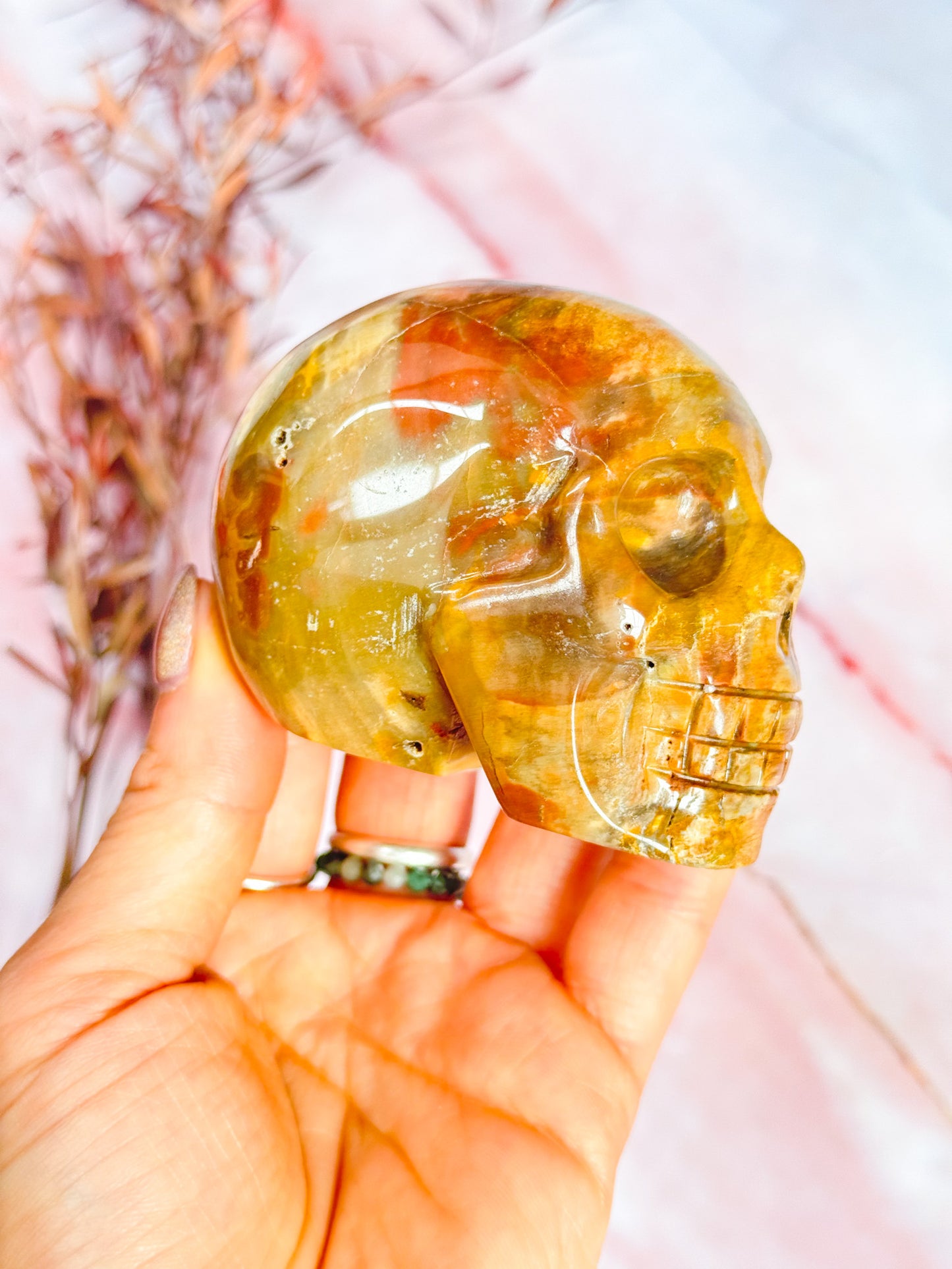 Petrified Wood Skull