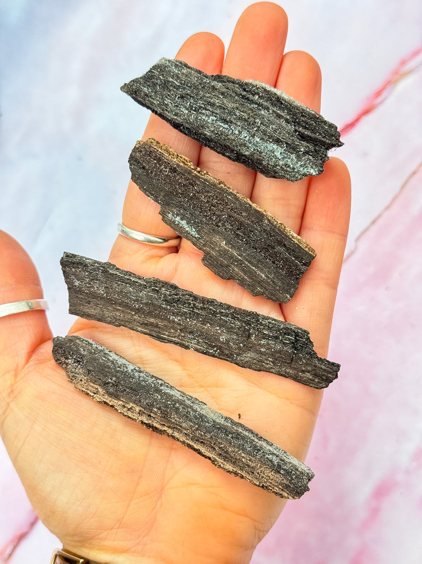 Druzy Petrified Wood Specimens