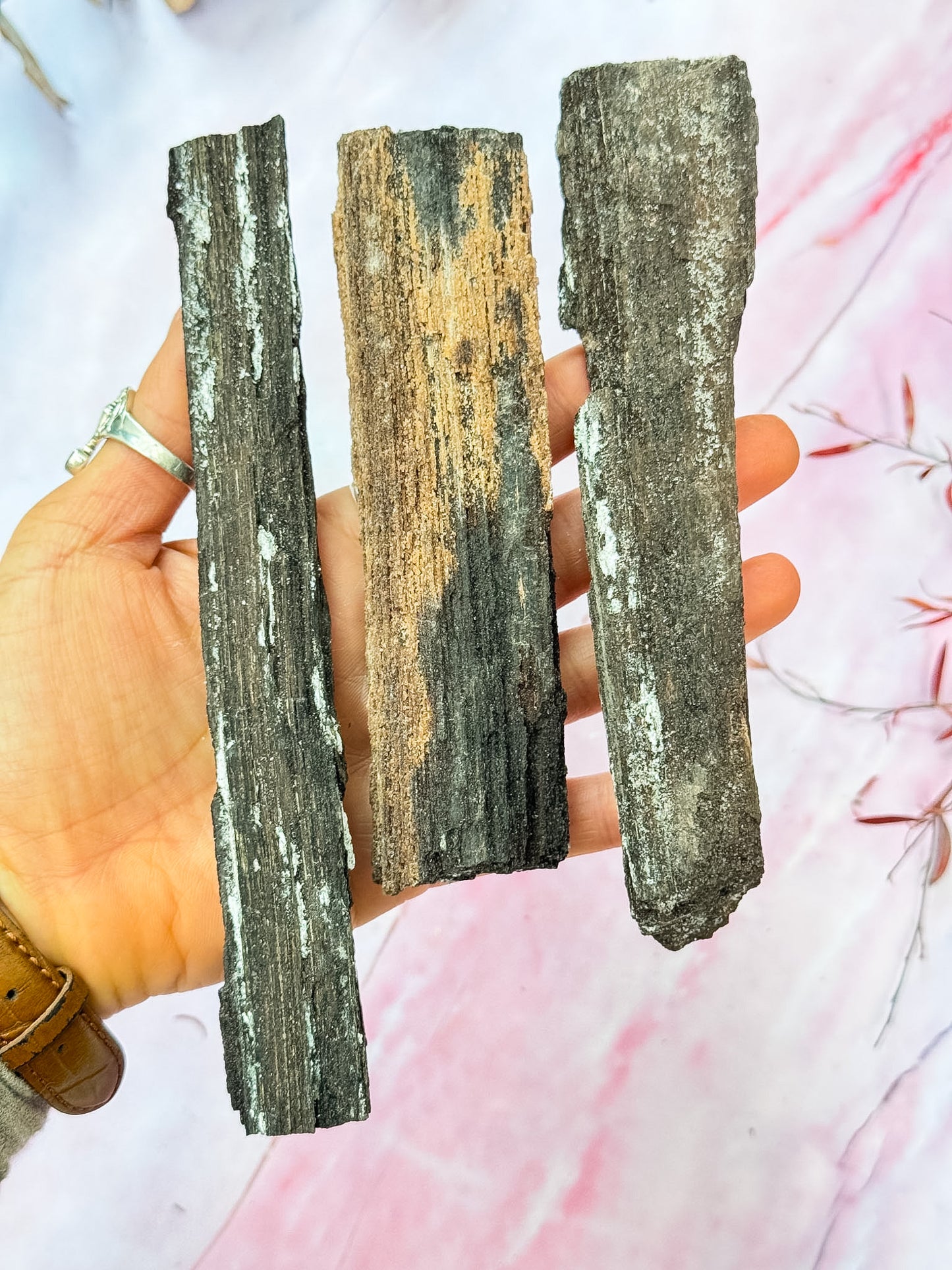Druzy Petrified Wood Specimens