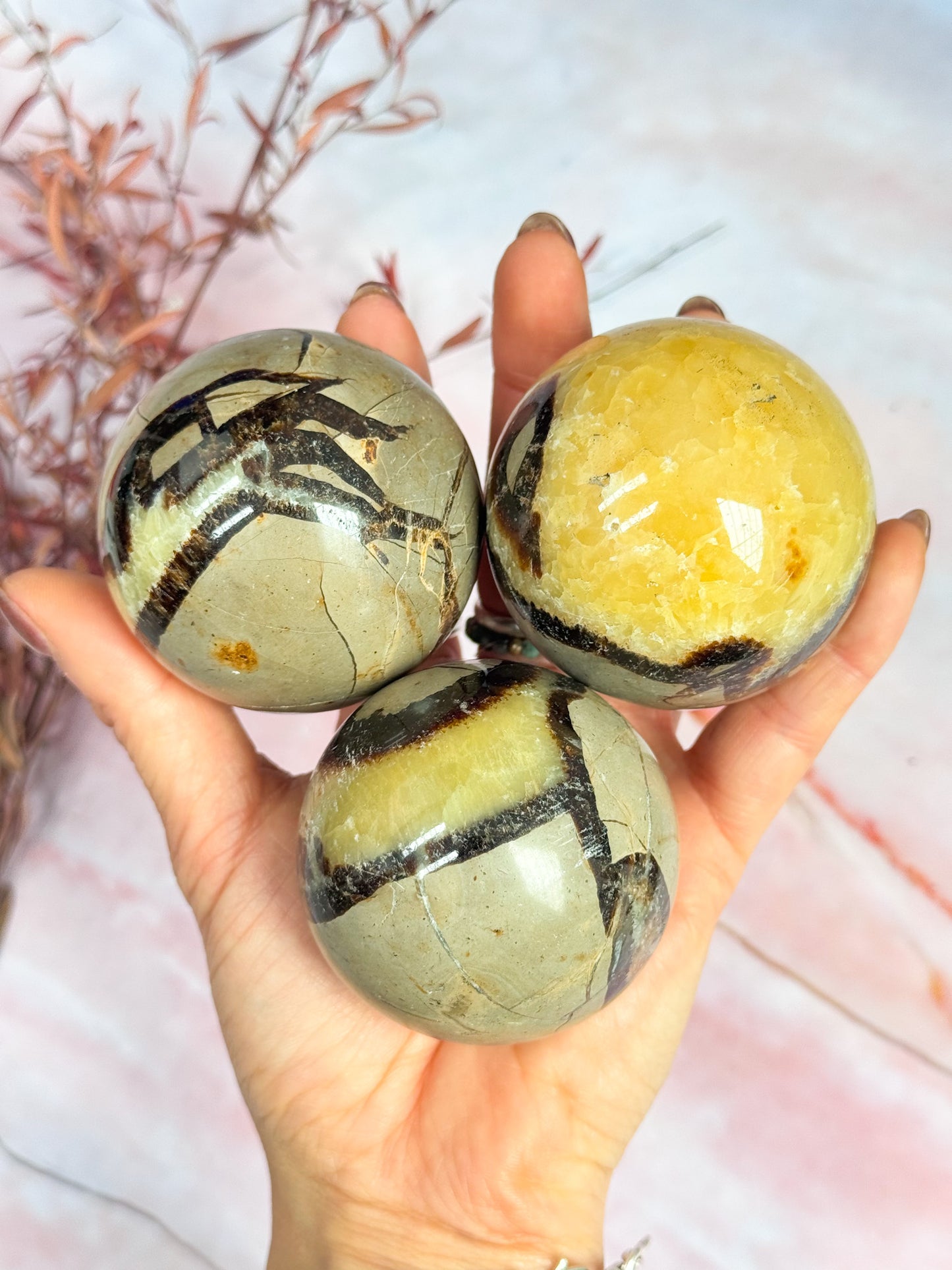 Septarian Dragon Spheres