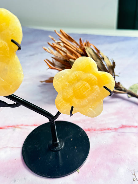 Yellow Calcite Daisy on Stand