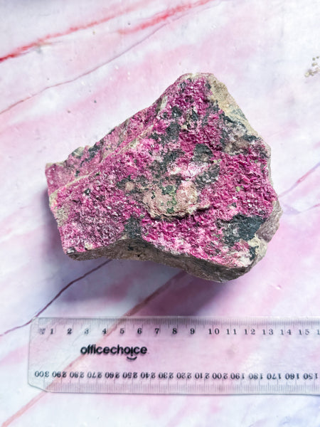 Pink Salrose Specimen