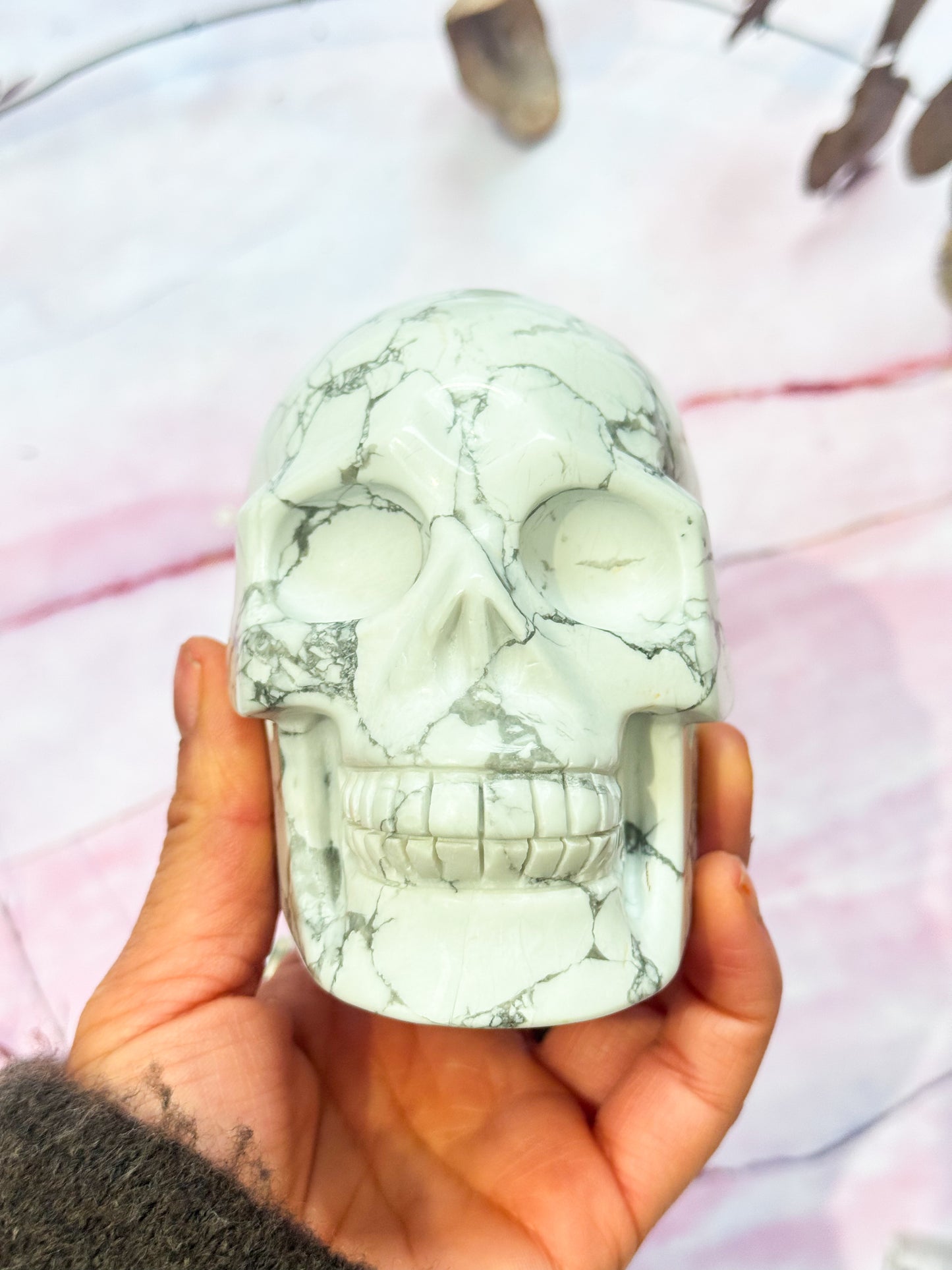 Howlite Skull