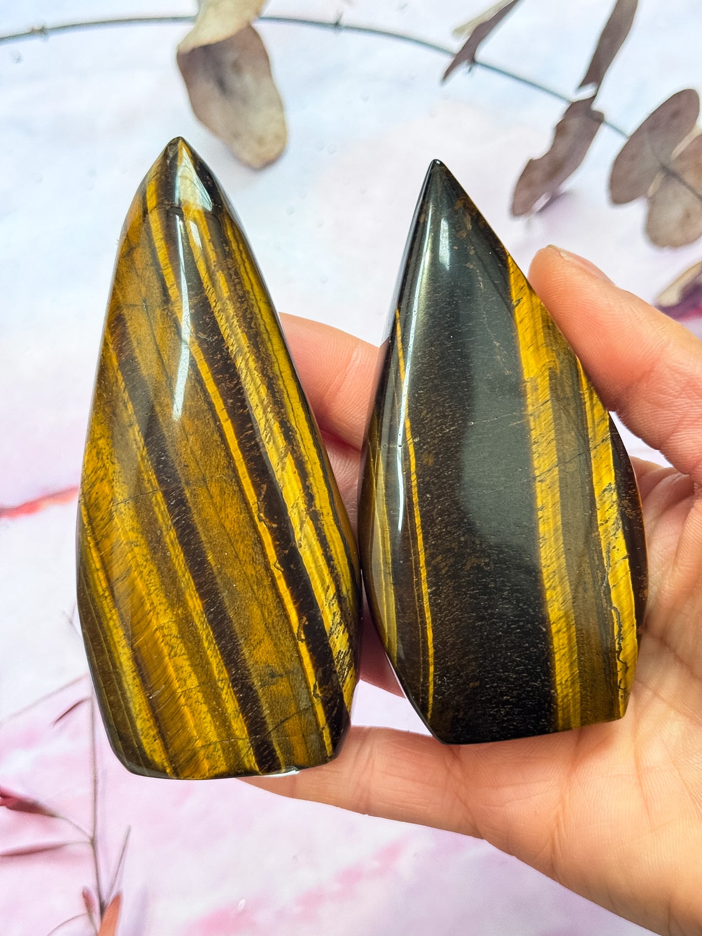 Tigers Eye Freeforms
