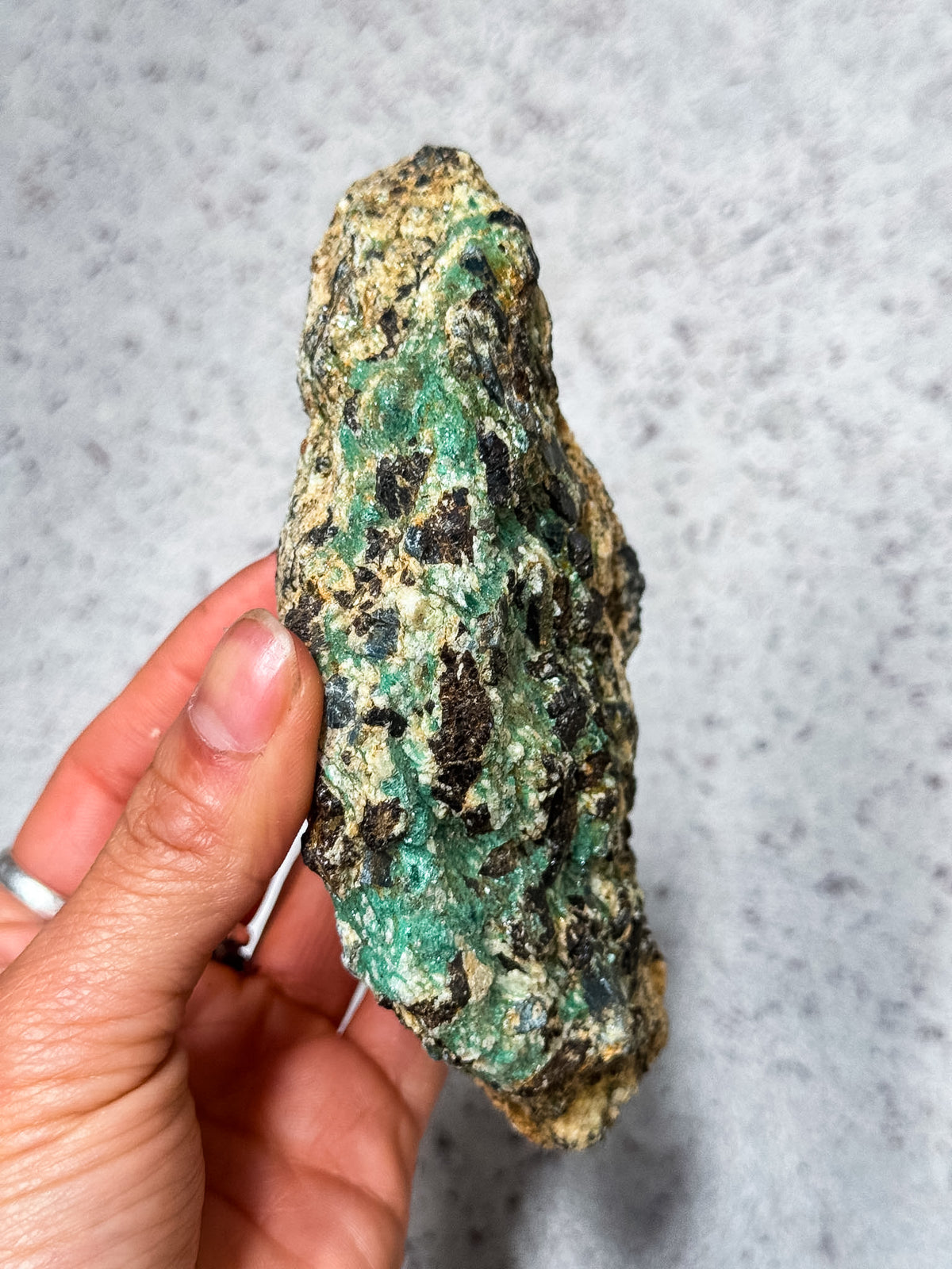 Kyanite in Fuschite Rough