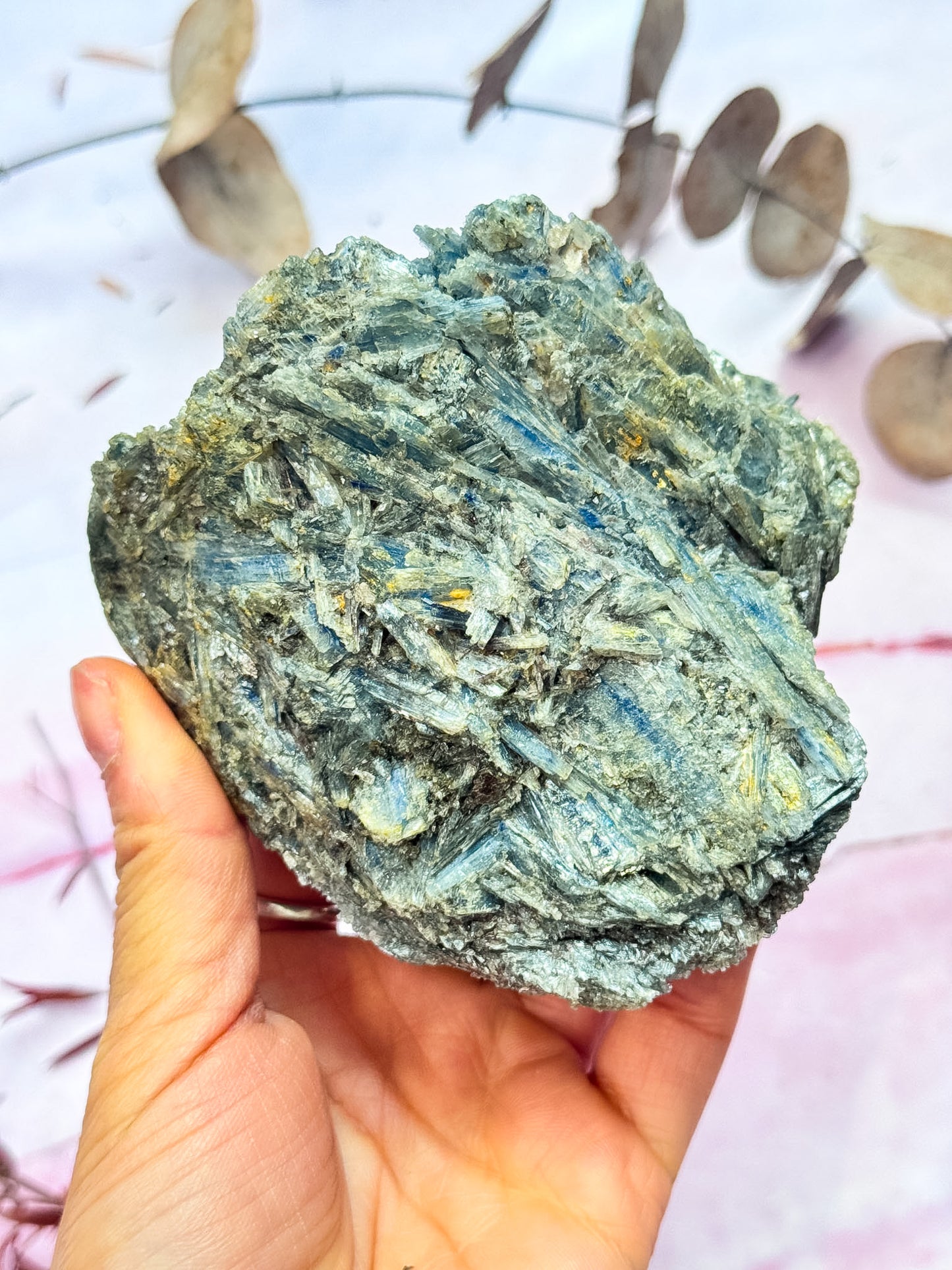 Kyanite in Quartz