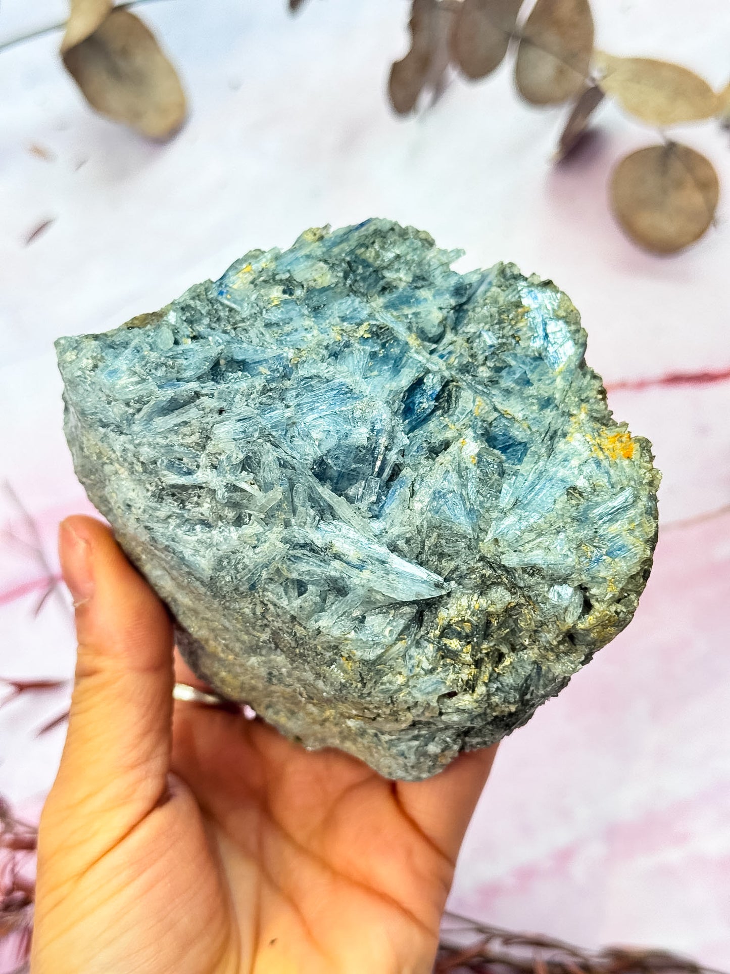 Kyanite in Quartz