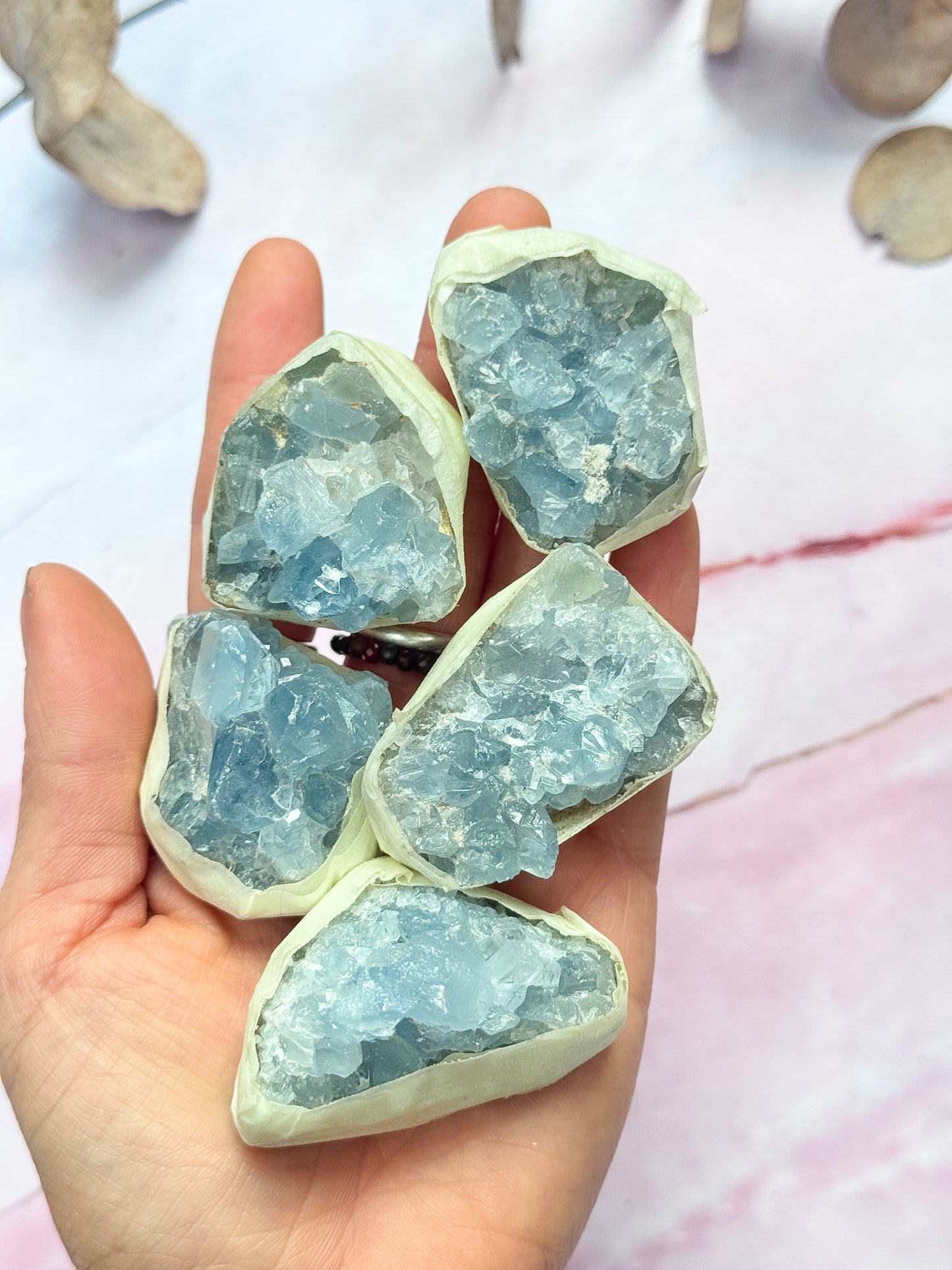 Celestite Clusters