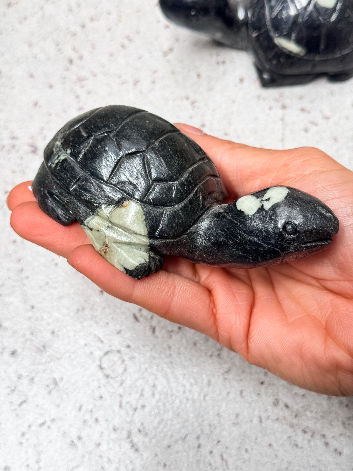 Peony Stone Turtle Carvings