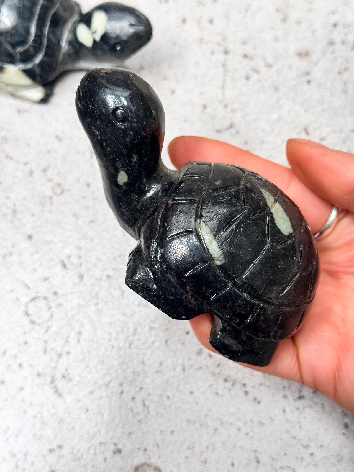 Peony Stone Turtle Carvings