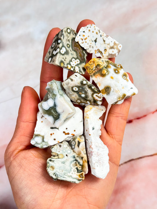 Orbicular Ocean Jasper Freeforms